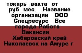 токарь. вахта. от 50 000 руб./мес. › Название организации ­ ООО Спецресурс - Все города Работа » Вакансии   . Хабаровский край,Николаевск-на-Амуре г.